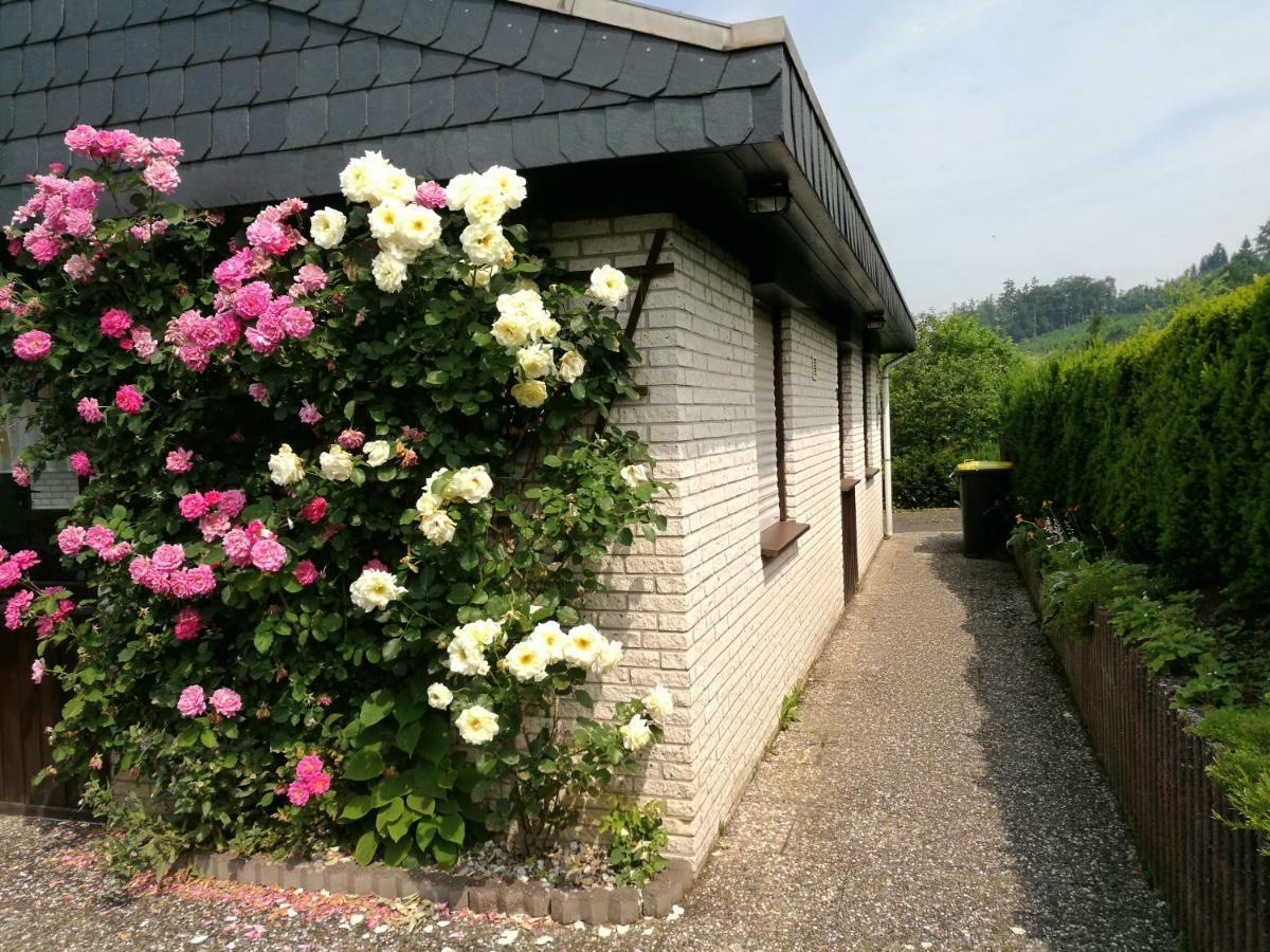Ferienhaus Bianca Meschede Exteriér fotografie